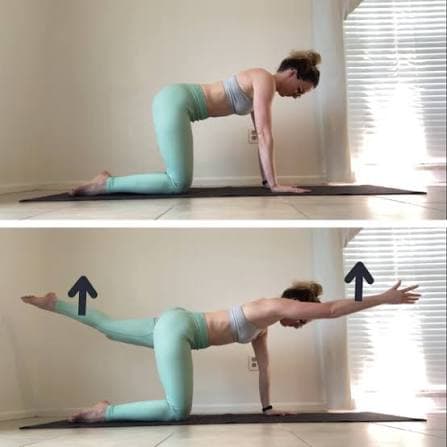 Bird-dog exercise for lower back pain