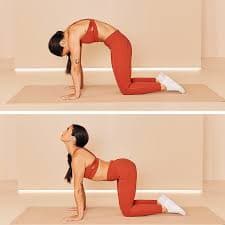 Cat-Cow pose for lower back pain